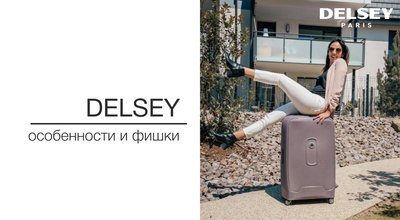 Лучший дорожный чемодан на колесах от бренда Delsey